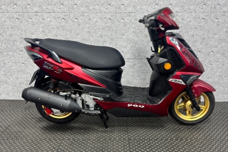 2019 PGO TIGRA 彪虎 150