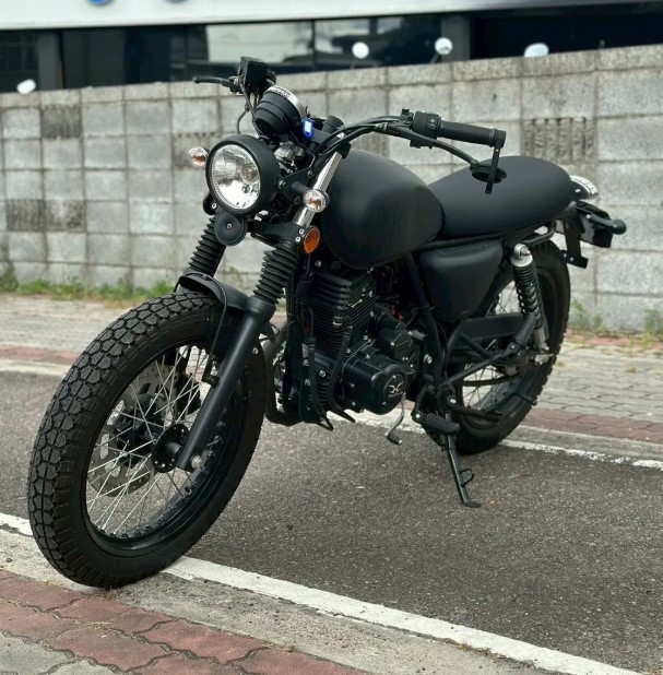 哈特佛 雲豹 223 H6