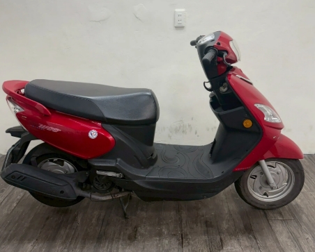 2017 三陽 Woo 100